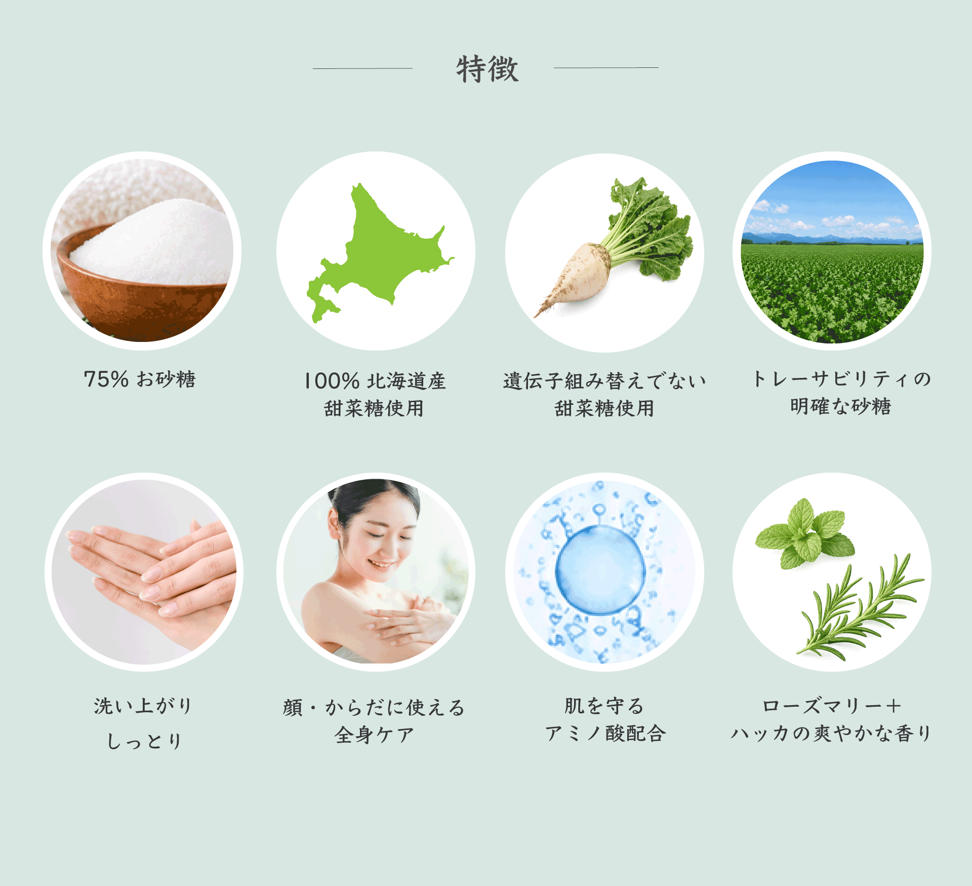 画像の説明
