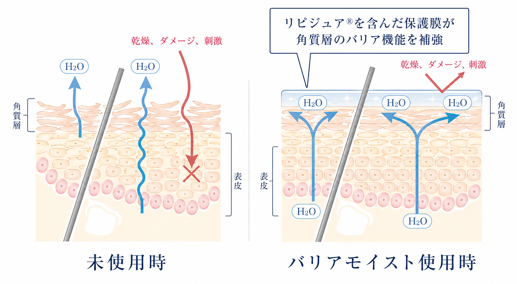 未使用時とバリアモイスト使用時のバリア機能比較