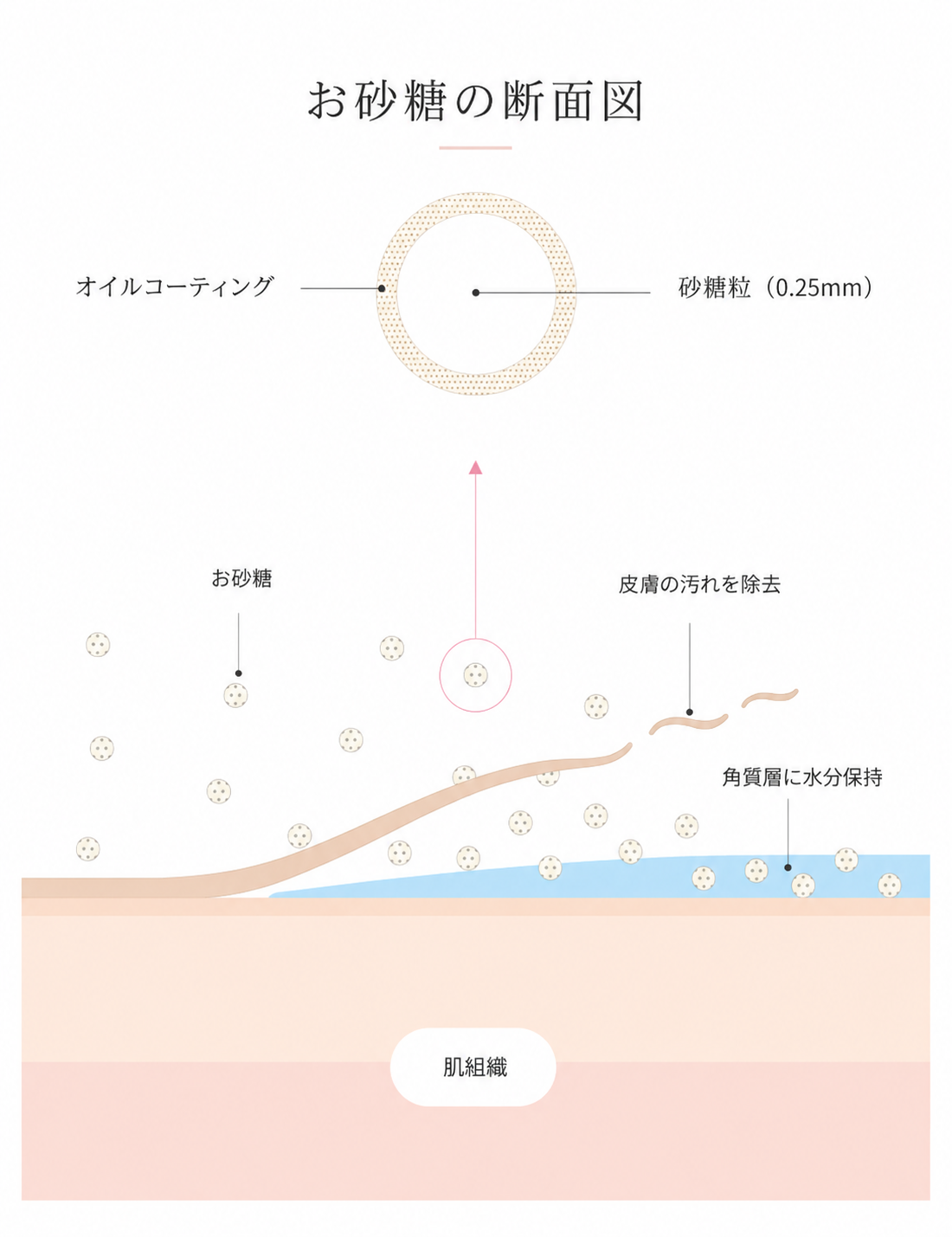 お砂糖の断面図