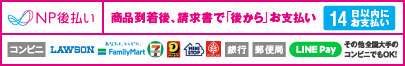 NP後払いについて詳しく見る